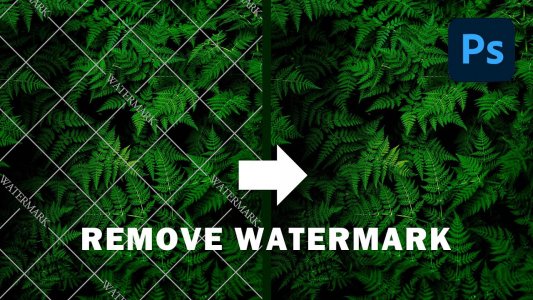 Remove Watermarks from Images Online for free