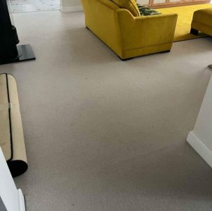 Beige large carpet & good quality underlay