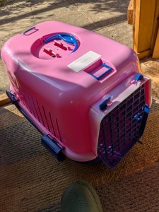 Cat Carrier