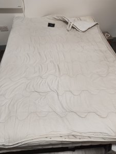 Free bed and mattress